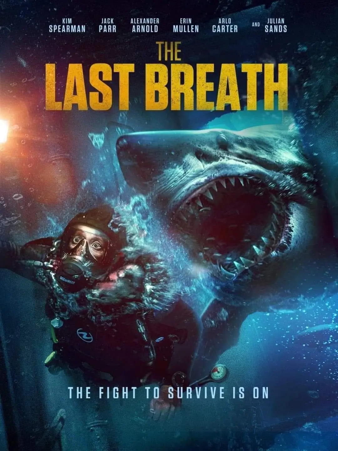 Poster de la película The Last Breath