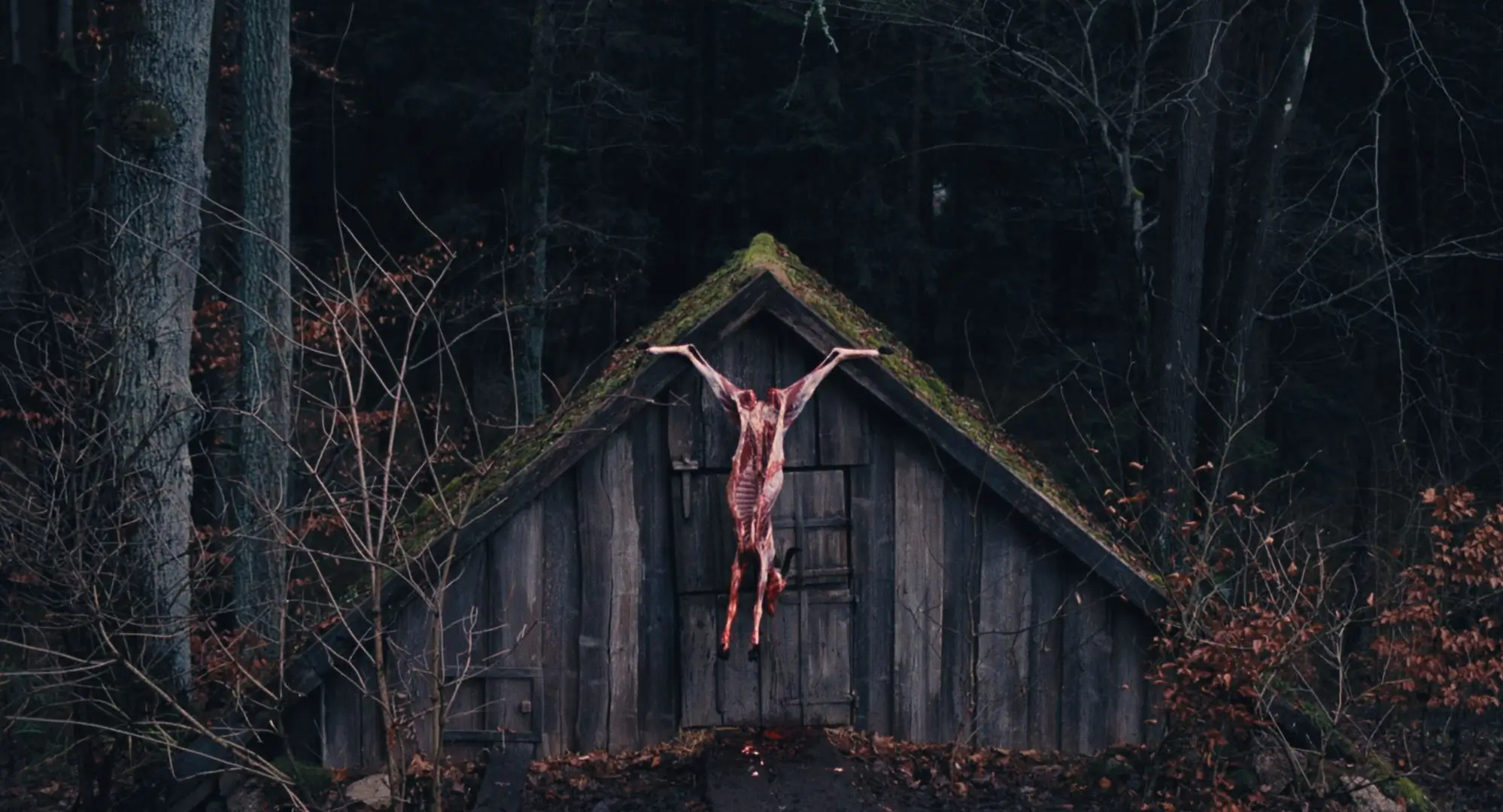 Imagen de la película The Devil's Bath