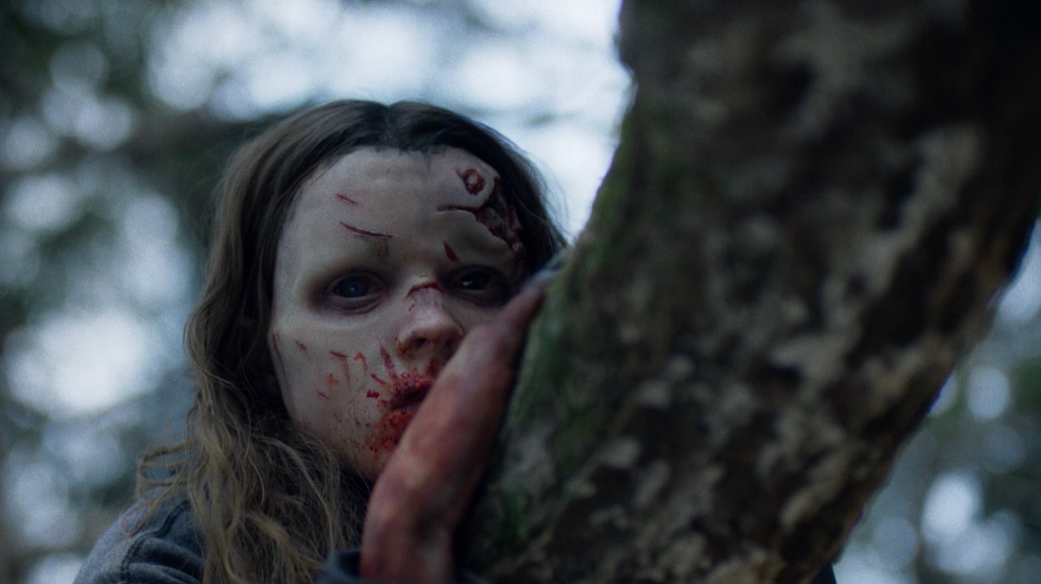 Imagen de la película The Dark, dirigida por Justin P. Lange, Klemens Hufnagl en 2018. Género: Monstruos