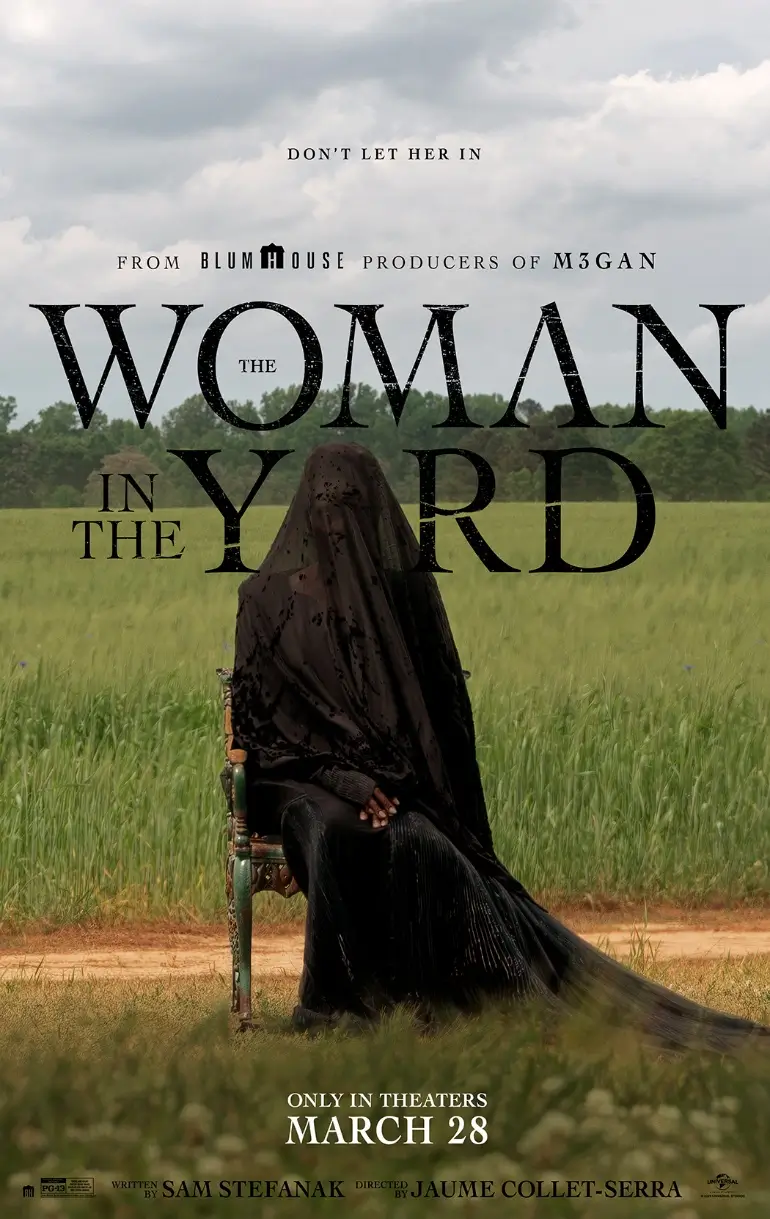 Poster de la película La mujer en las sombras