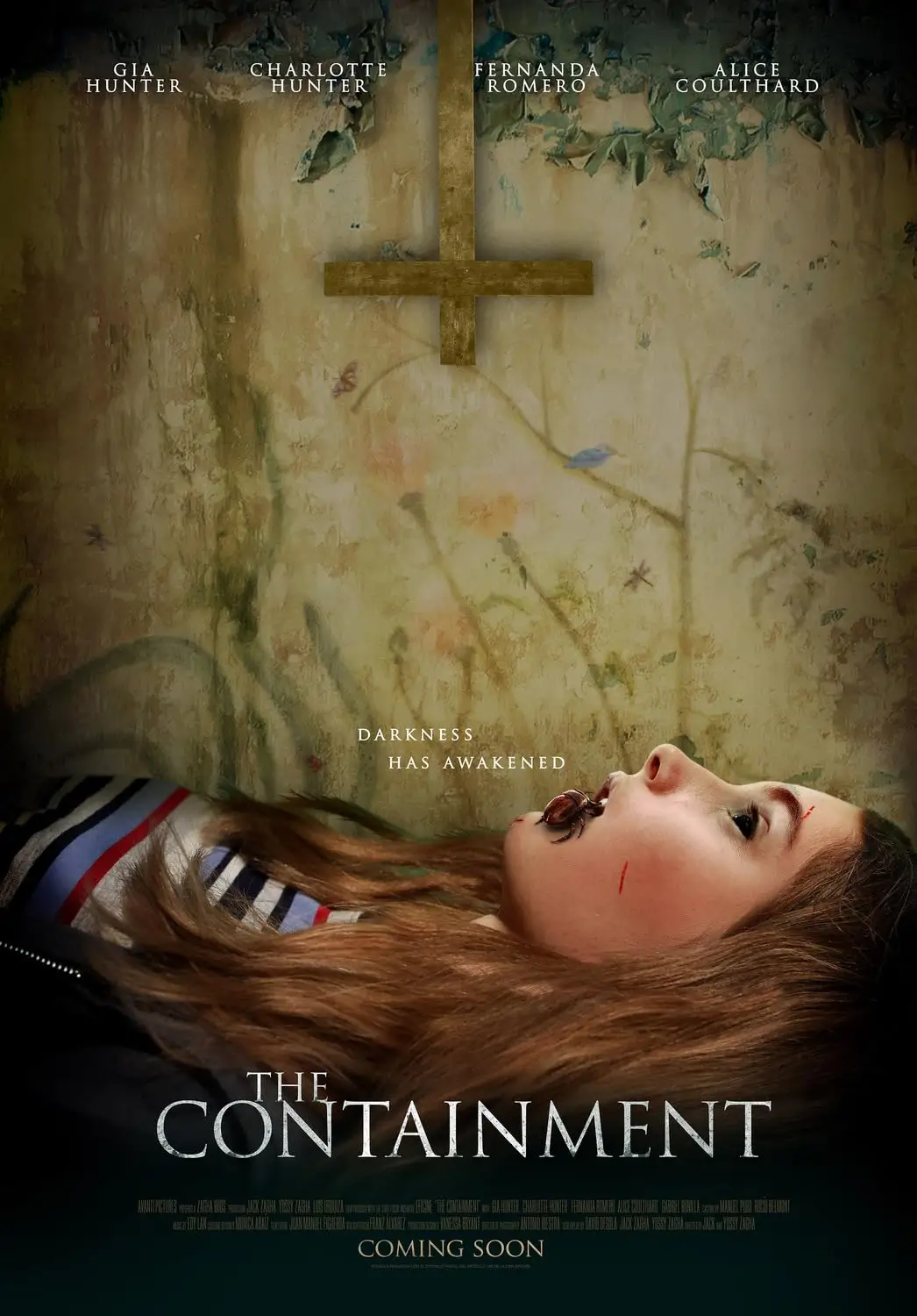 Poster de la película The Containment