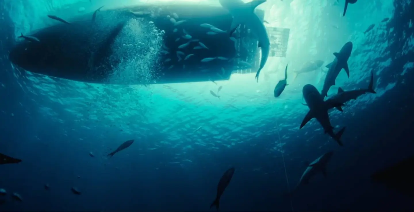 Imagen de la película Dangerous Animals