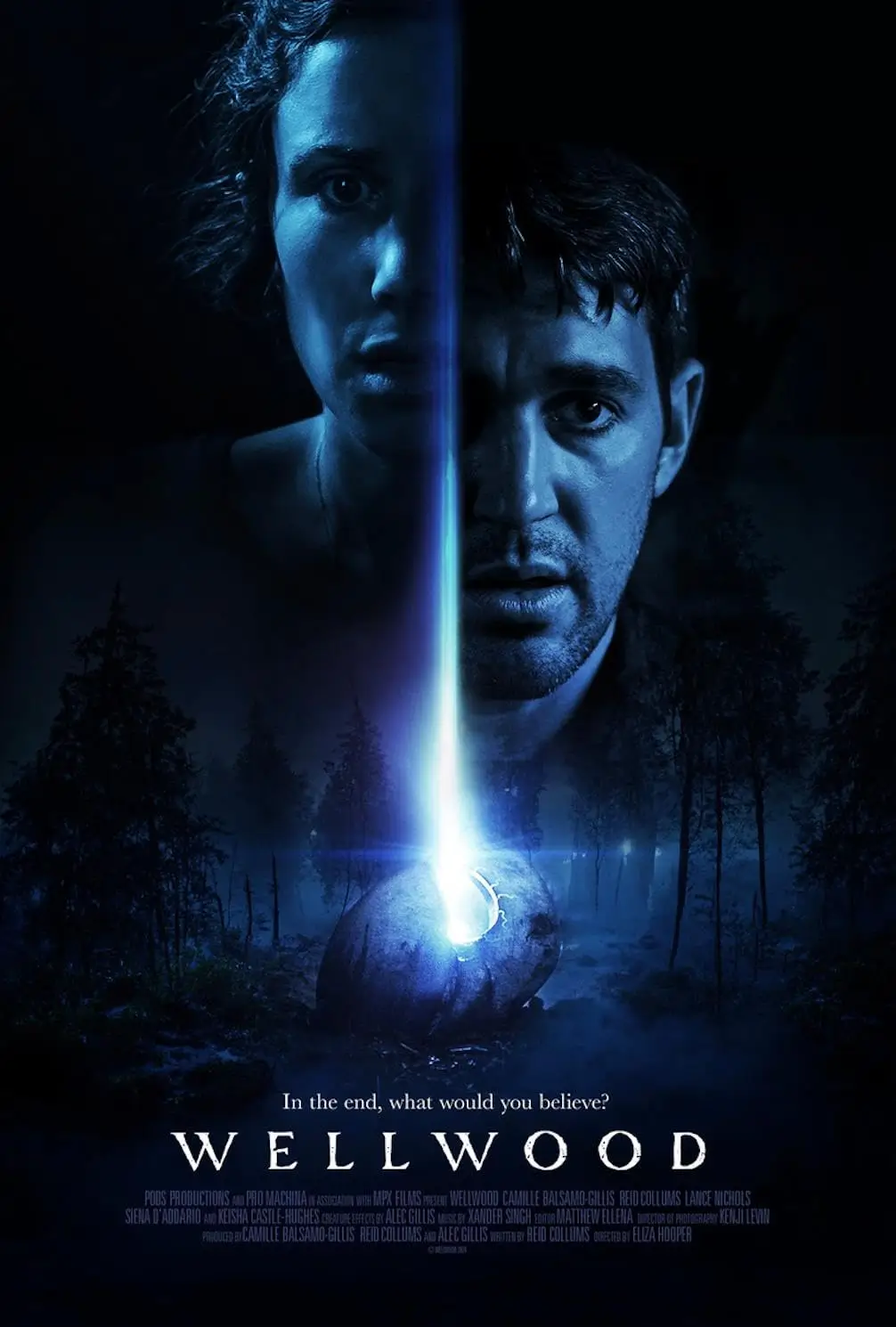Poster de la película Wellwood
