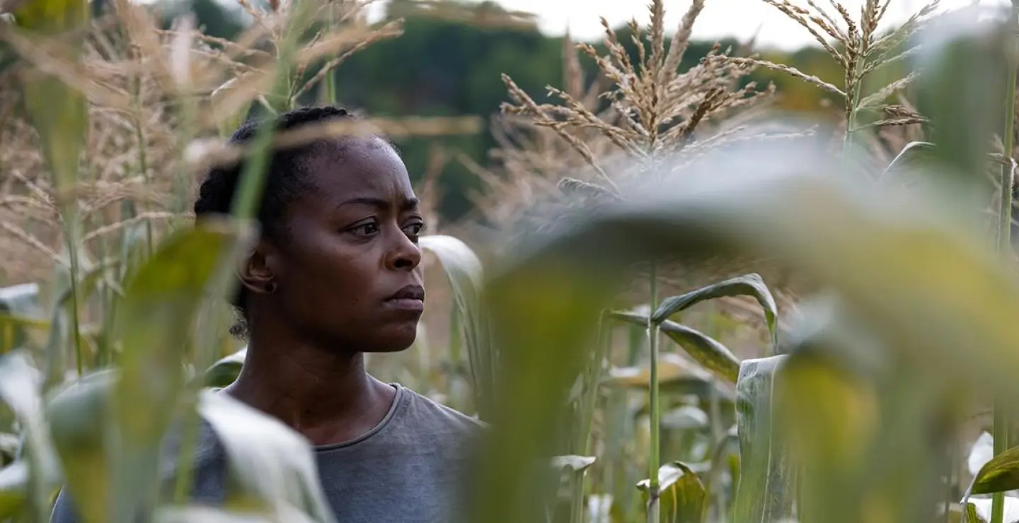 Imagen de la película 40 Acres