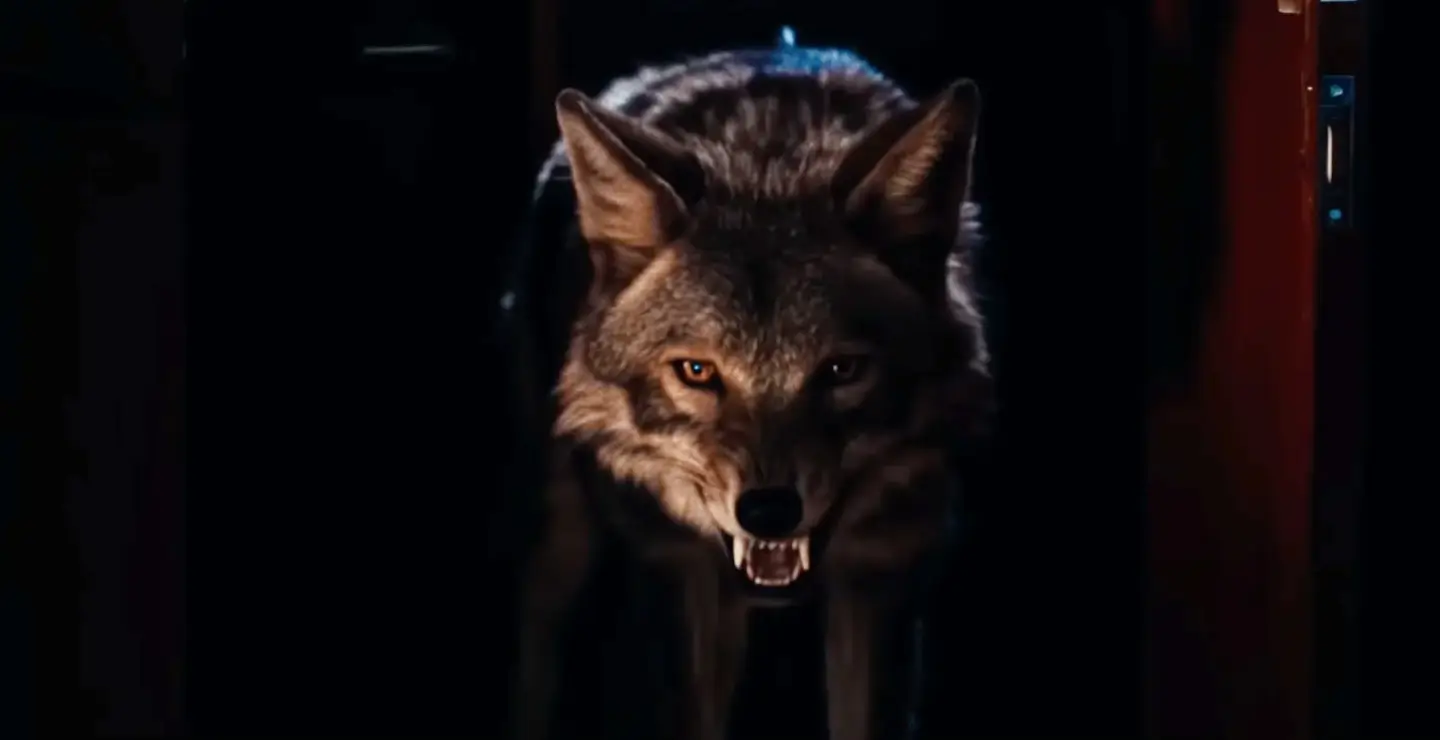 Imagen de la película Coyotes
