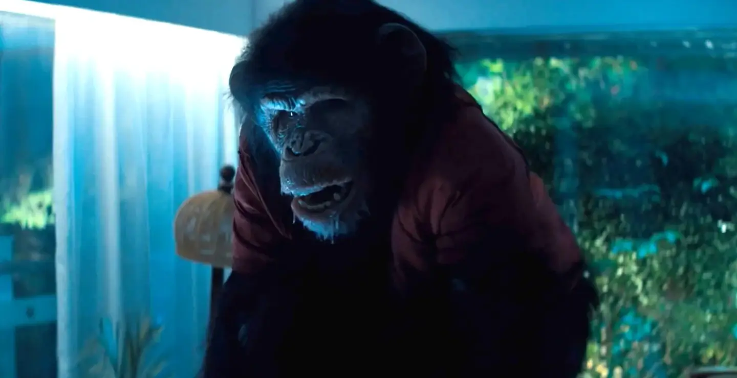 Imagen de la película Primate