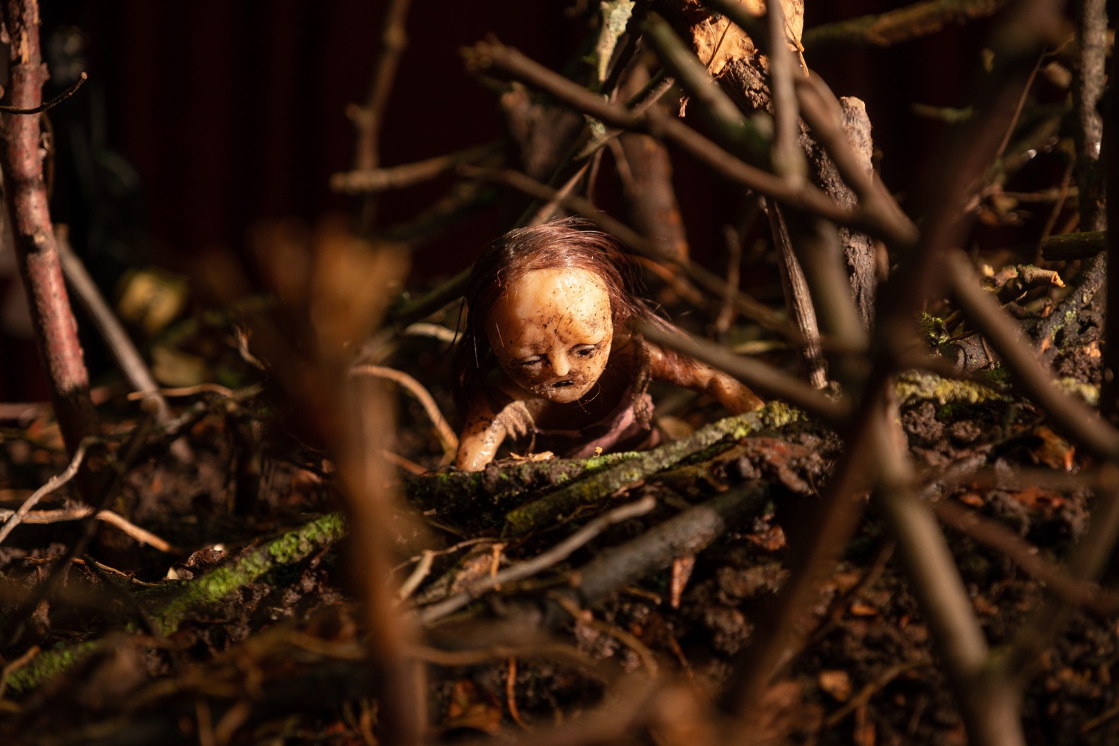 Imagen de la película Stopmotion