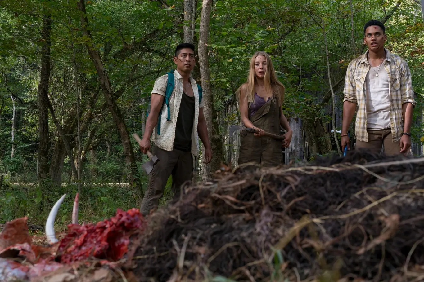 Imagen de la película Wrong Turn: Sendero al infierno