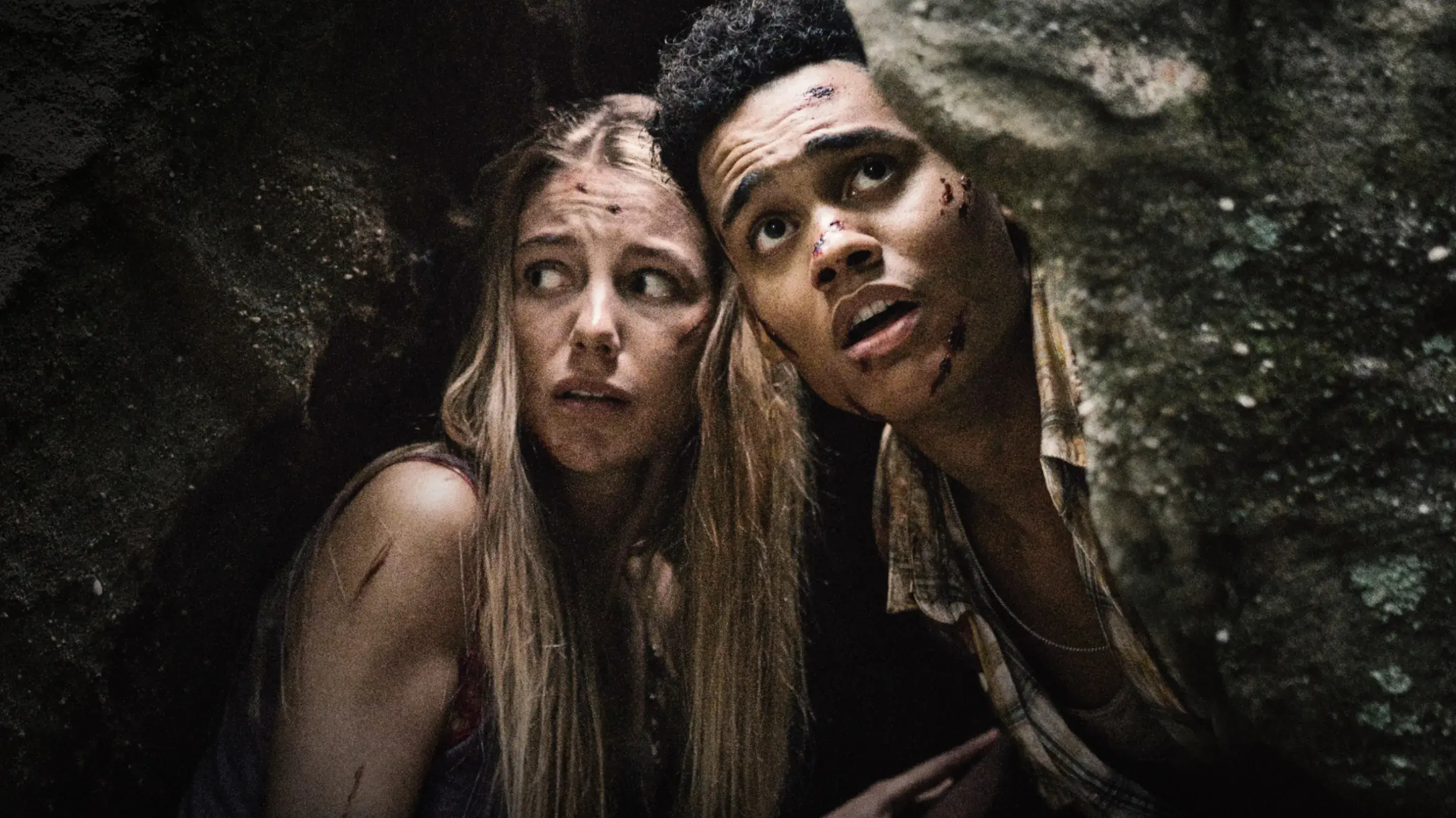Imagen de la película Wrong Turn: Sendero al infierno, dirigida por Mike P. Nelson en 2021. Género: Survival