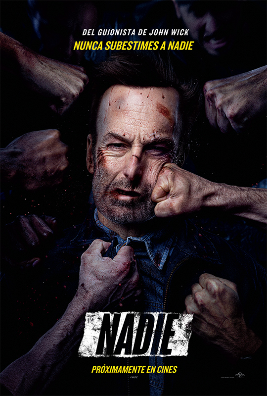 Poster de la película Nadie
