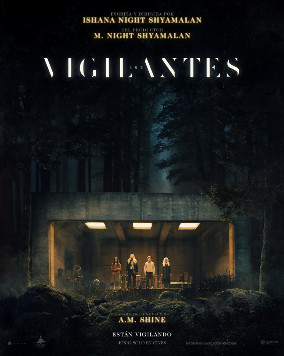 Poster de la película Los Vigilantes